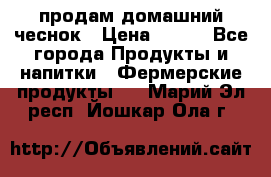 продам домашний чеснок › Цена ­ 100 - Все города Продукты и напитки » Фермерские продукты   . Марий Эл респ.,Йошкар-Ола г.